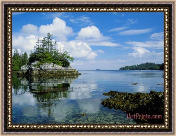 Raymond Gehman Shoreline Reflected in a Still Lake Framed Painting
