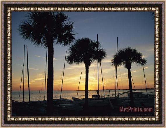 Raymond Gehman Silhouetted Palm Trees And Catamarans Line a Shoreline at Twilight Framed Painting