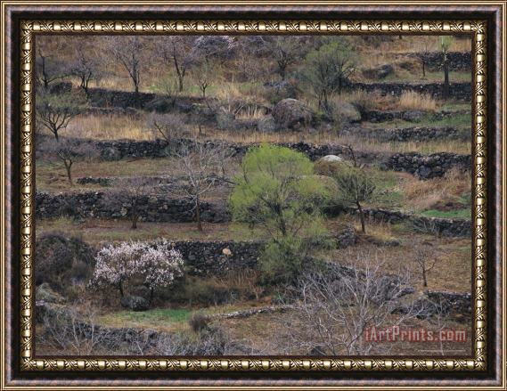 Raymond Gehman Stone Wall Terraces Line The Hills of The Miao Fenghan Mountains Framed Print