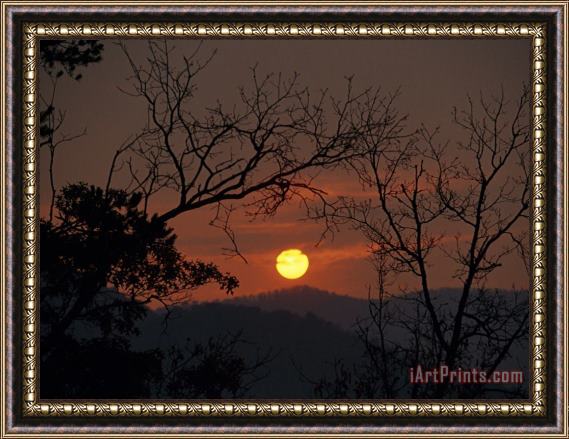 Raymond Gehman Sunrise Over Mountains Viewed Through an Oak Forest Framed Print