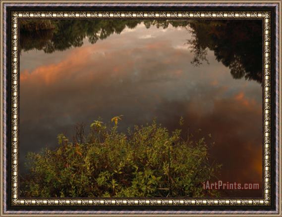 Raymond Gehman Sunset And Cloud Reflections in The Water of Sloans Crossing Pond Framed Painting