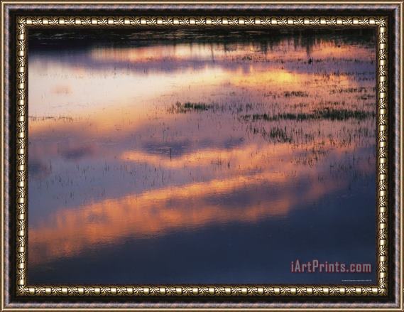 Raymond Gehman Sunset Lit Clouds Reflect on a Lake with Sedges at Twilight Framed Painting