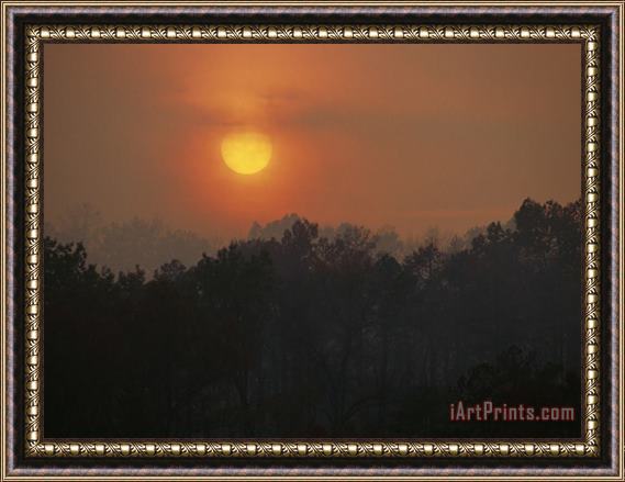 Raymond Gehman Sunset Over Daniel Boone National Forest Framed Painting