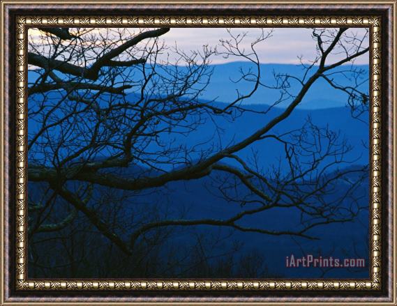 Raymond Gehman Sunset Through Silhouetted Tree Branches And Over Mountains Framed Print