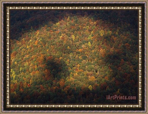 Raymond Gehman Trees in Autumn Foliage Seen From The Grand View Overlook Framed Print