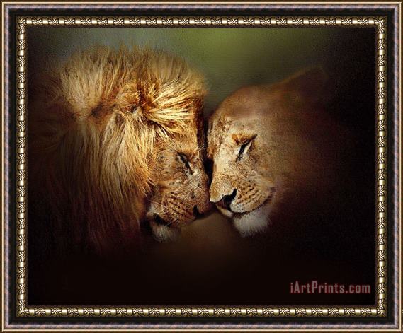 Robert Foster Lion Love Framed Painting