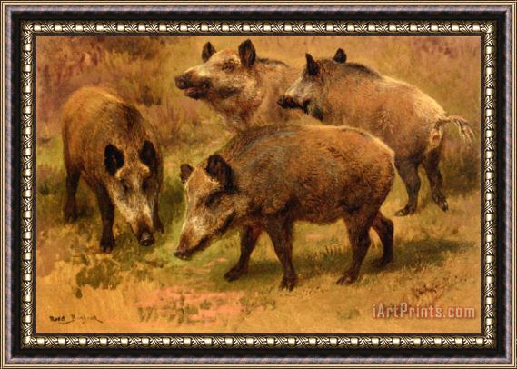 Rosa Bonheur Four Boars in a Landscape Framed Painting