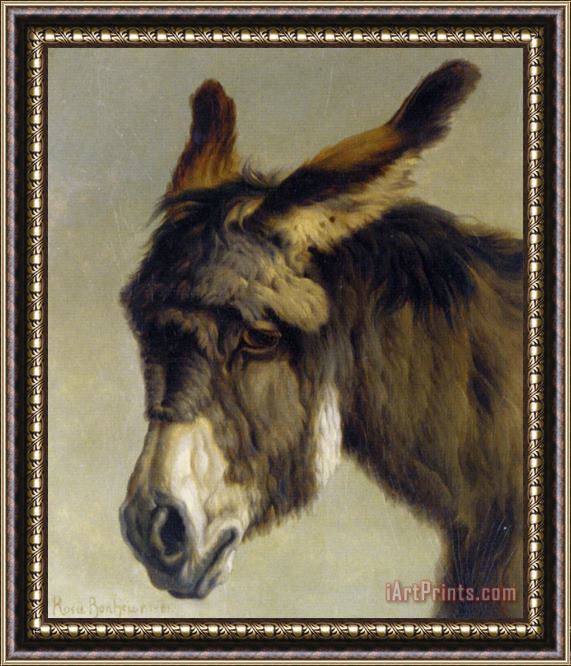 Rosa Bonheur Head of a Donkey Framed Print