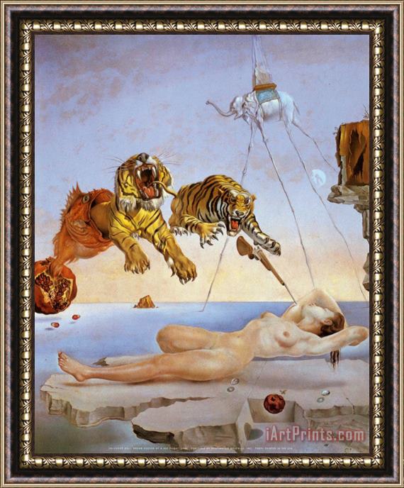 Salvador Dali Dream Caused by The Flight of a Bee a Second Before Awakening Framed Print