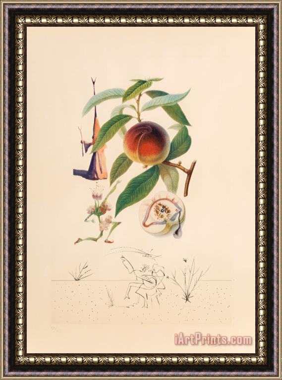 Salvador Dali Pecheur Penitant, From Flor Dali Les Fruits, 1969 Framed Painting