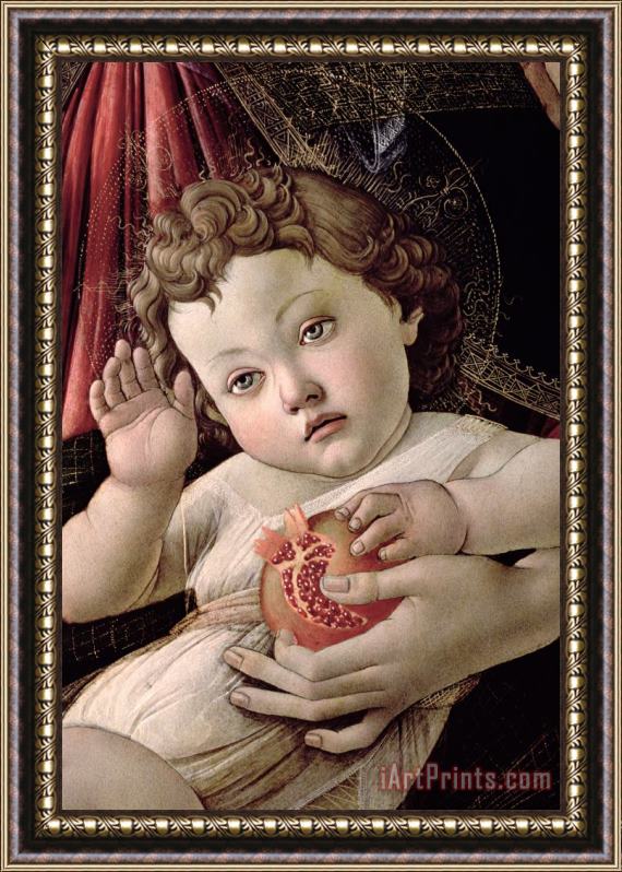 Sandro Botticelli Detail of the Christ Child from the Madonna of the Pomegranate Framed Painting