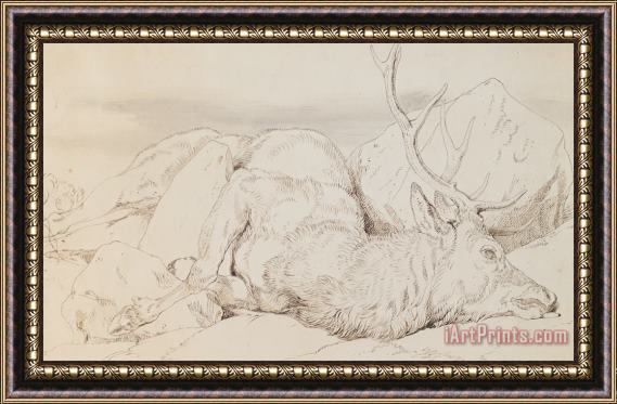 Sir Edwin Landseer A Dead Stag Framed Painting