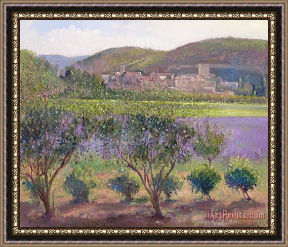 Timothy Easton Lavender Seen Through Quince Trees Framed Print