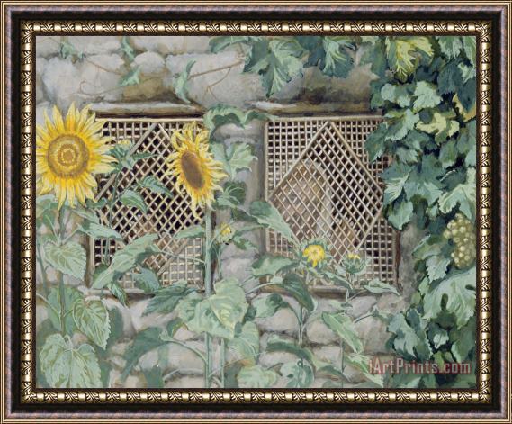 Tissot Jesus Looking through a Lattice with Sunflowers Framed Print