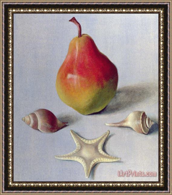 Tomar Levine Pear And Shells Framed Painting