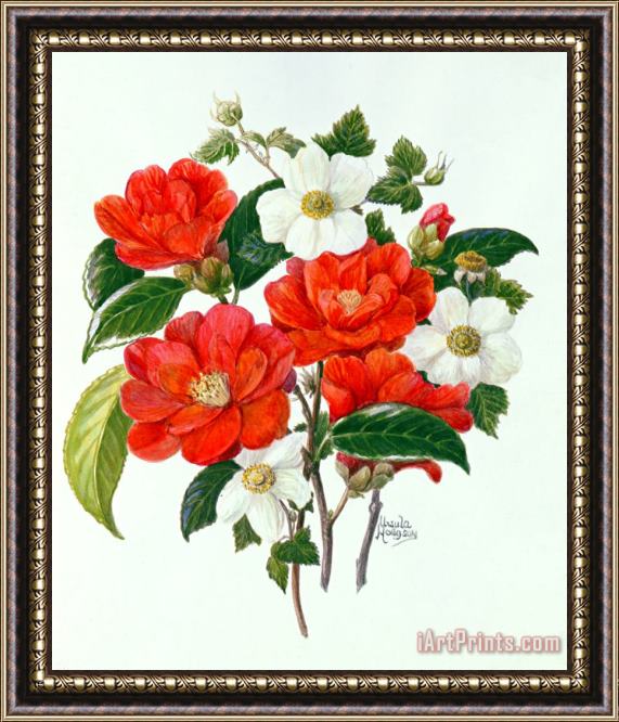 Ursula Hodgson Camellia Adolf Audusson Framed Painting