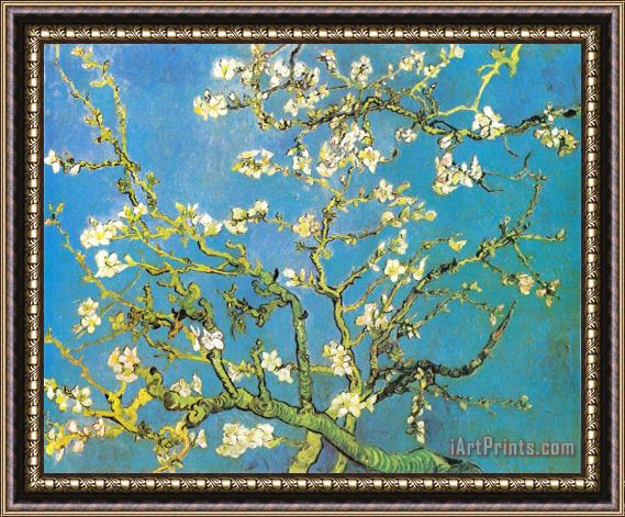 Vincent van Gogh Blossoming Almond-branches Framed Painting