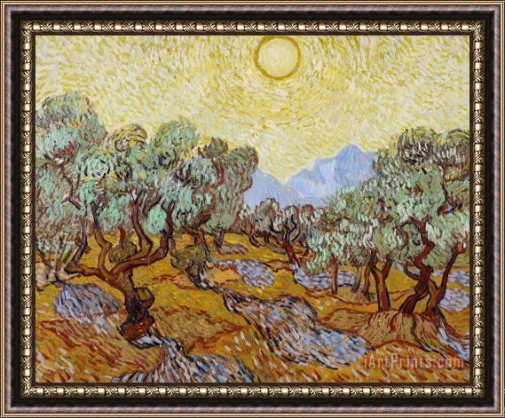 Vincent van Gogh Olive Trees Framed Painting