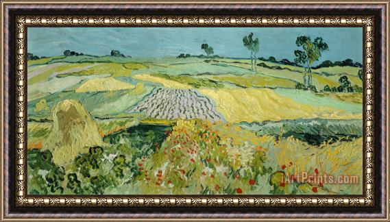 Vincent van Gogh Wheatfields Near Auvers-sur-oise Framed Print