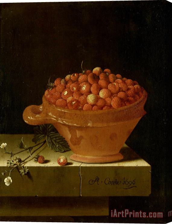 Adriaen Coorte A Bowl of Strawberries on a Stone Plinth Stretched Canvas Print / Canvas Art