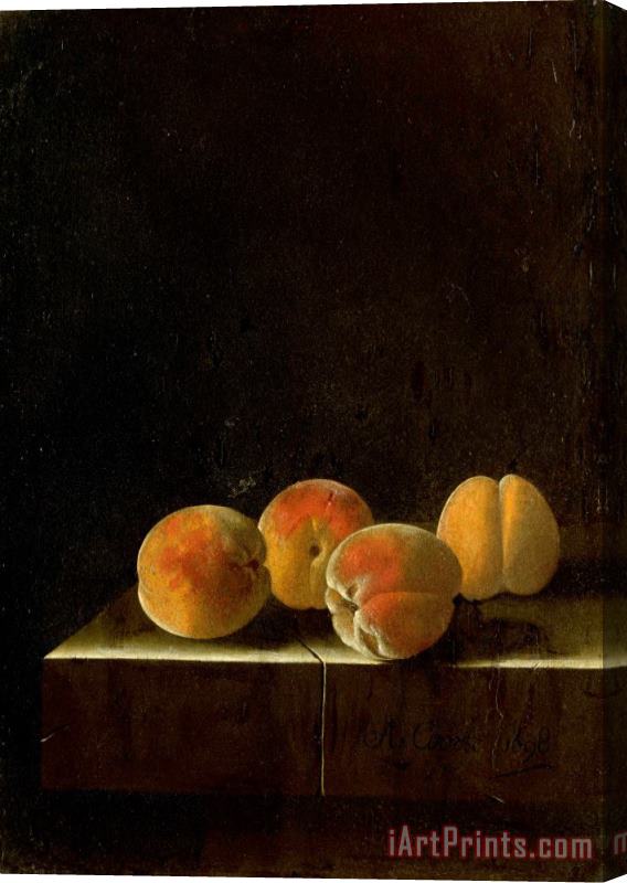 Adriaen Coorte Four Apricots on a Stone Plinth Stretched Canvas Print / Canvas Art