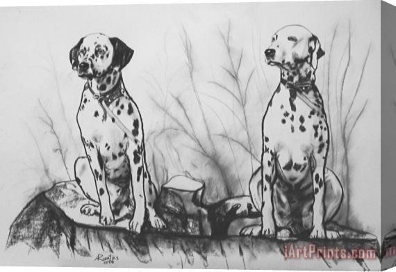 Agris Rautins Two dogs Stretched Canvas Print / Canvas Art