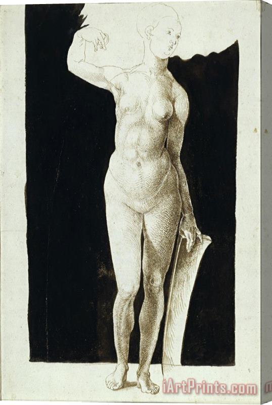 Albrecht Durer Proportion Study of Female Nude with a Shield Stretched Canvas Painting / Canvas Art