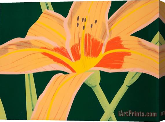 Alex Katz Day Lily 1, 1969 Stretched Canvas Print / Canvas Art