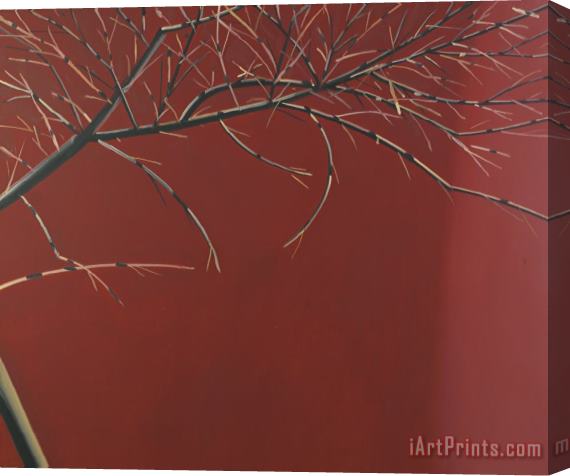 Alex Katz Red Branch Stretched Canvas Print / Canvas Art