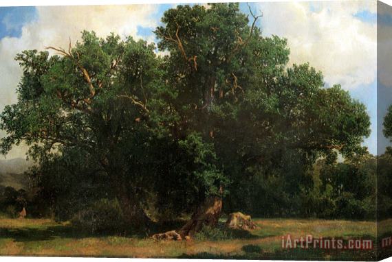 Alexandre Calame Oak Trees Stretched Canvas Painting / Canvas Art