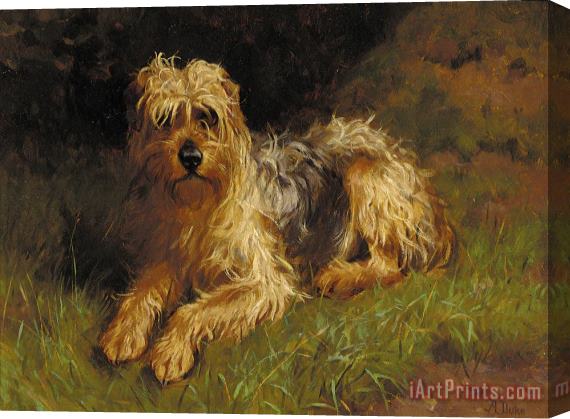 Alfred Duke Soft Coated Wheaten Terrier Stretched Canvas Painting / Canvas Art