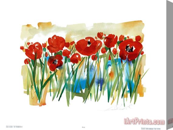 alfred gockel Field of Poppies Stretched Canvas Print / Canvas Art