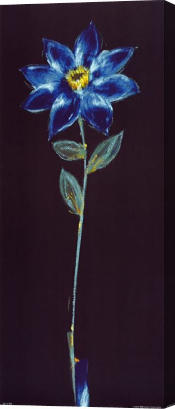 alfred gockel Midnight Blue Daisy Panel Stretched Canvas Print / Canvas Art