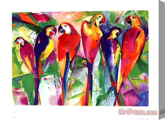 alfred gockel Parrot Family Stretched Canvas Print / Canvas Art