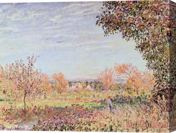 Alfred Sisley September Morning Stretched Canvas Painting / Canvas Art