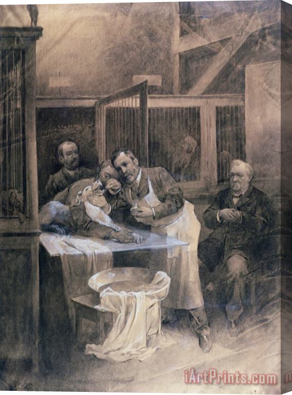Alphonse Marie Mucha Louis Pasteur Stretched Canvas Print / Canvas Art