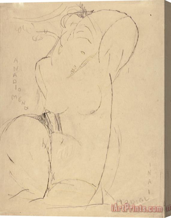 Amedeo Modigliani Anadiomena Stretched Canvas Print / Canvas Art