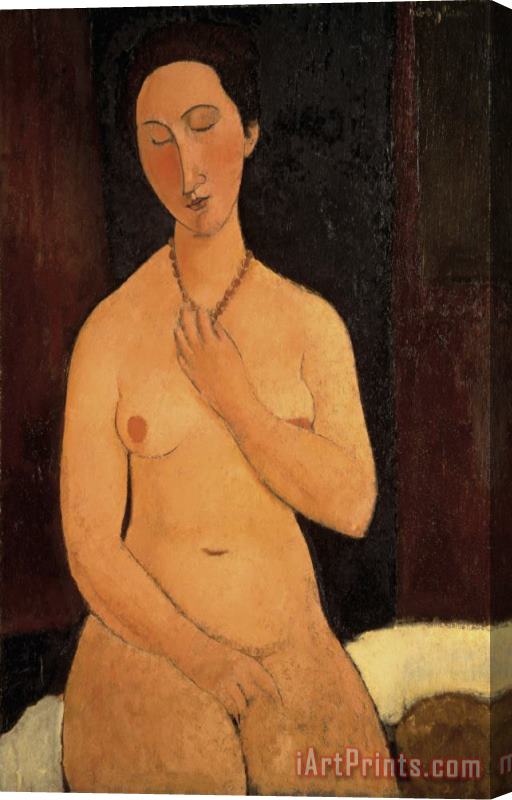 Amedeo Modigliani Seated Nude with Necklace Stretched Canvas Print / Canvas Art