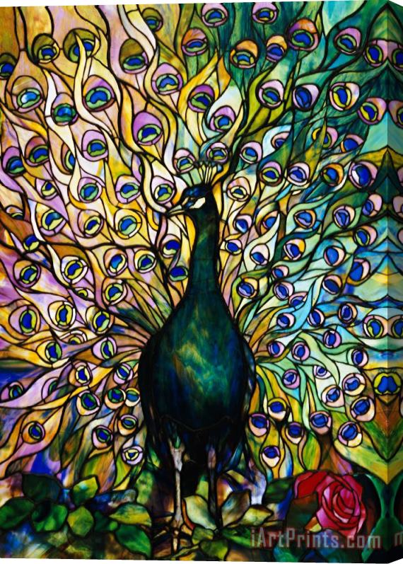 American School Peacock Stretched Canvas Painting / Canvas Art