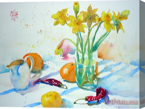 Andre Mehu Daffodils study Stretched Canvas Print / Canvas Art