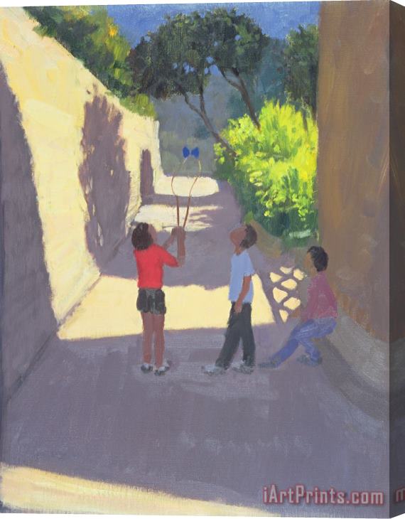 Andrew Macara Diabolo France Stretched Canvas Painting / Canvas Art