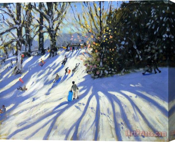 Andrew Macara Early snow Darley Park Stretched Canvas Painting / Canvas Art