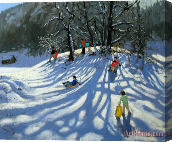 Andrew Macara Fun in the Snow Stretched Canvas Print / Canvas Art