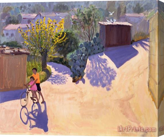 Andrew Macara Spring in Cyprus Stretched Canvas Print / Canvas Art