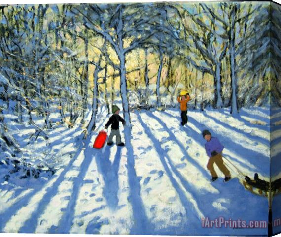 Andrew Macara Woodland in winter Stretched Canvas Painting / Canvas Art