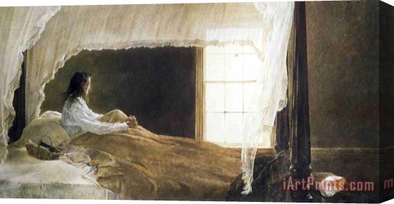 andrew wyeth Chambered Nautilus Stretched Canvas Print / Canvas Art