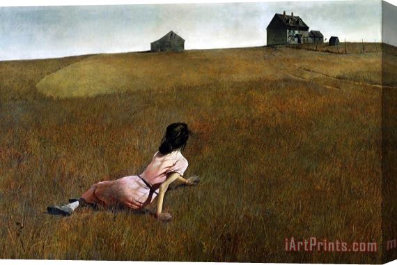andrew wyeth Christina's World 1948 Stretched Canvas Print / Canvas Art