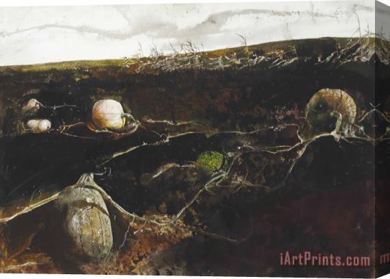 andrew wyeth Pumpkin Hill, 1977 Stretched Canvas Print / Canvas Art