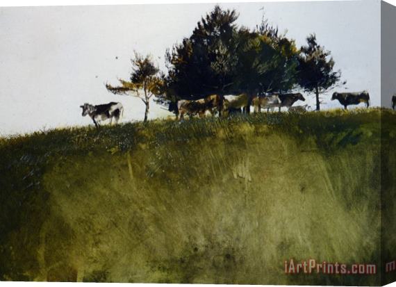 andrew wyeth Shadey Trees Stretched Canvas Print / Canvas Art