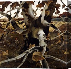 Agincourt The Impossible Victory 25 October 1415 Canvas Prints - Sycamore Tree And Hunter October 16 1943 by andrew wyeth